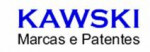 Kawski Marcas e Patentes - Consultoria em Marcas / Patentes